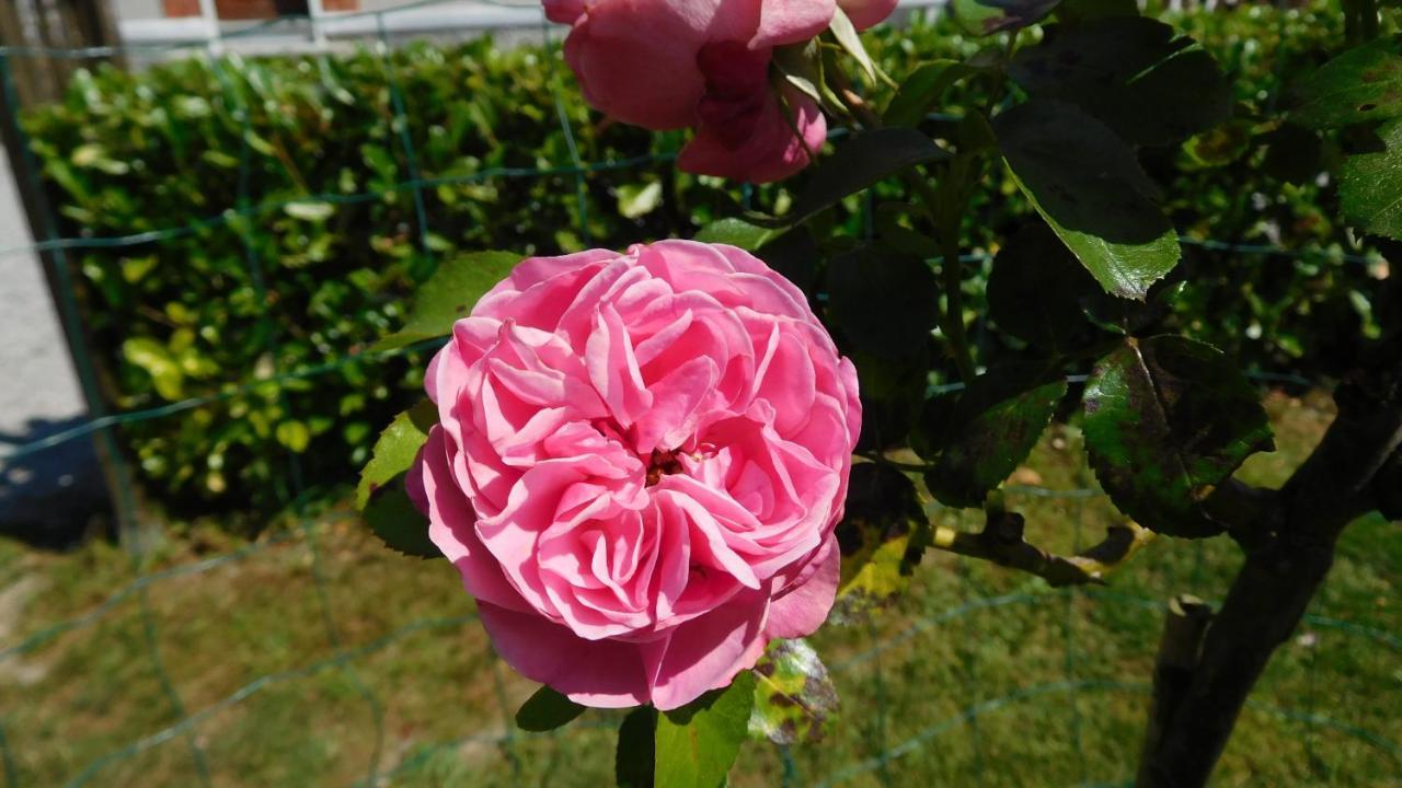 Le Faubourg La Cle Des Sens B&B 외부 사진